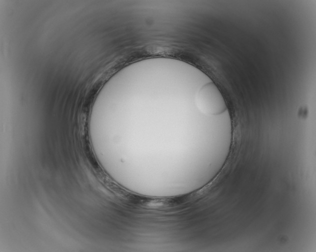 X0000114080171200910051009