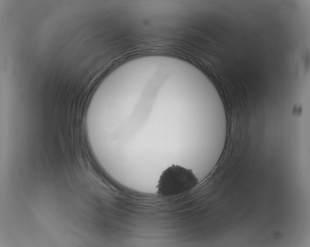 X0000114080172200910051009