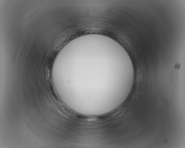 X0000114080173200910051010