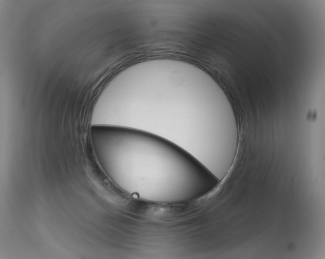 X0000114080174200910051010