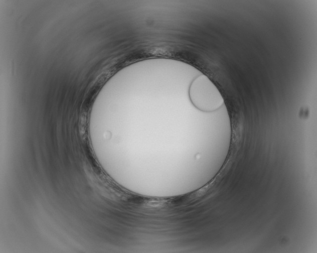 X0000114080175200910051010