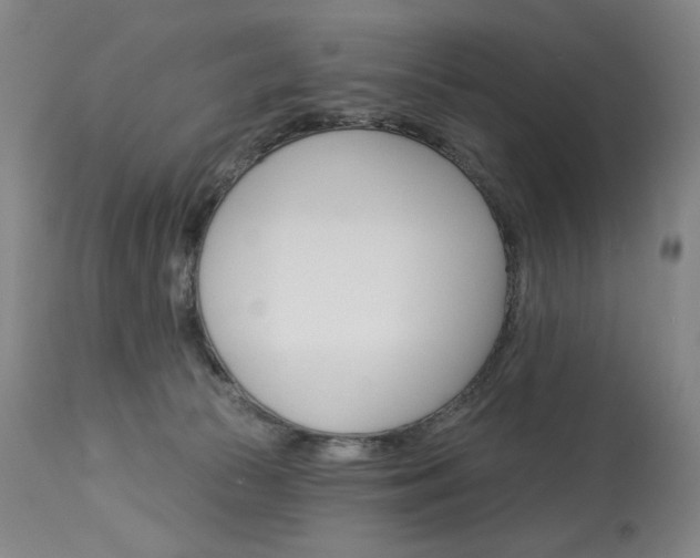 X0000114080177200910051010