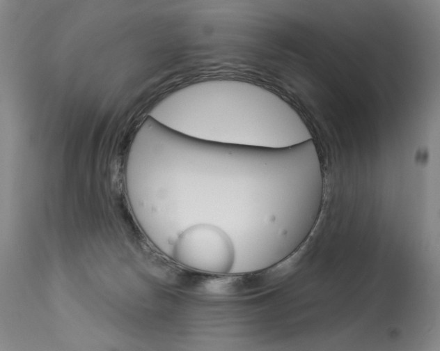 X0000114080178200910051010