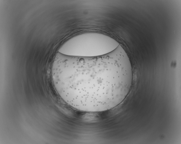 X0000114080179200910051010