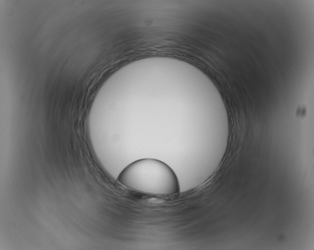 X0000114080180200910051010