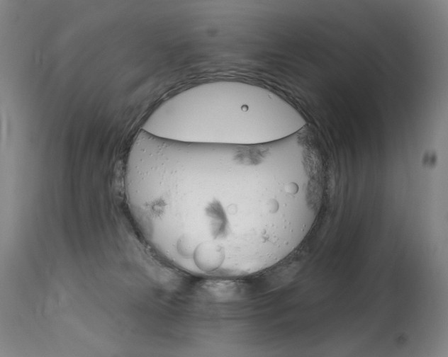 X0000114080181200910051010