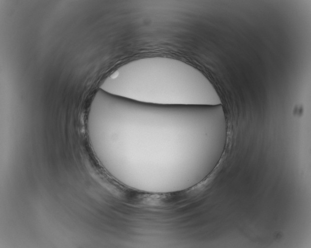 X0000114080182200910051010