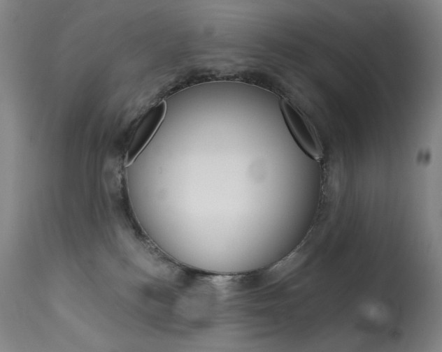 X0000114080184200910051010