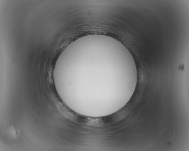 X0000114080185200910051010