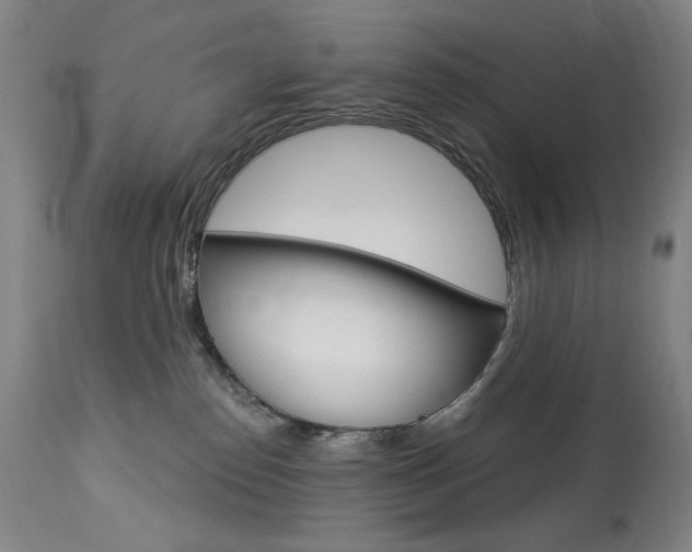 X0000114080186200910051010