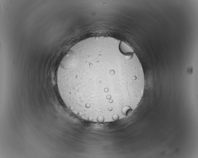 X0000114080187200910051010