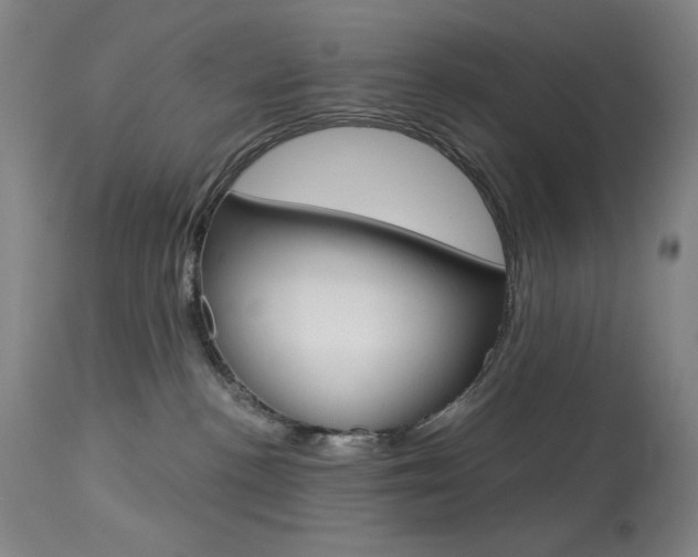 X0000114080188200910051010