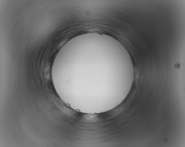 X0000114080189200910051010