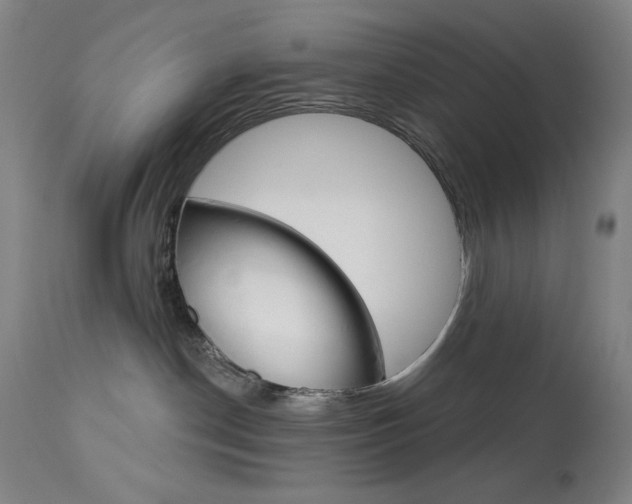 X0000114080190200910051010