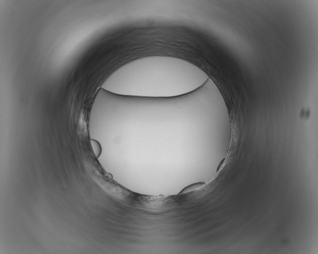 X0000114080191200910051010