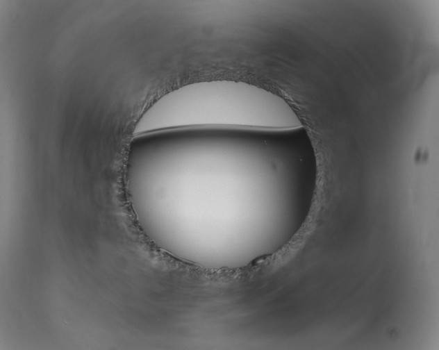 X0000114080192200910051010