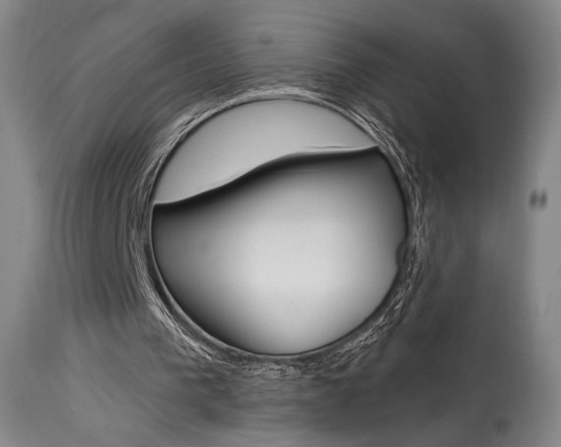 X0000114080193200910051009