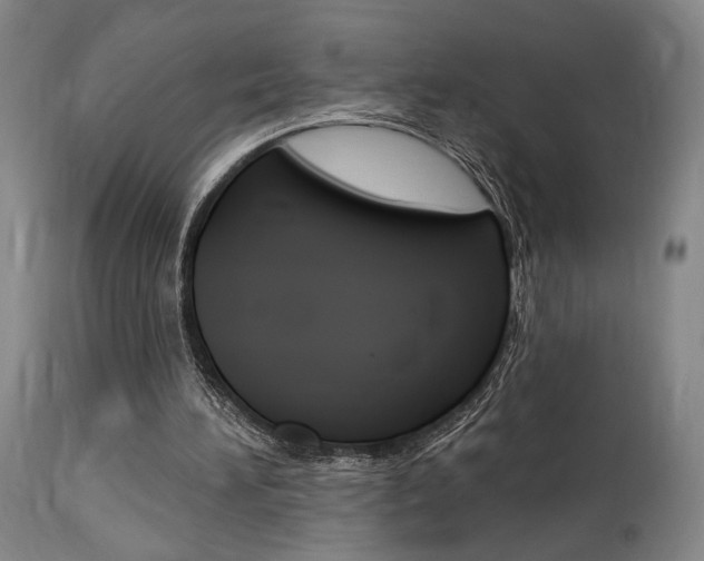 X0000114080196200910051009