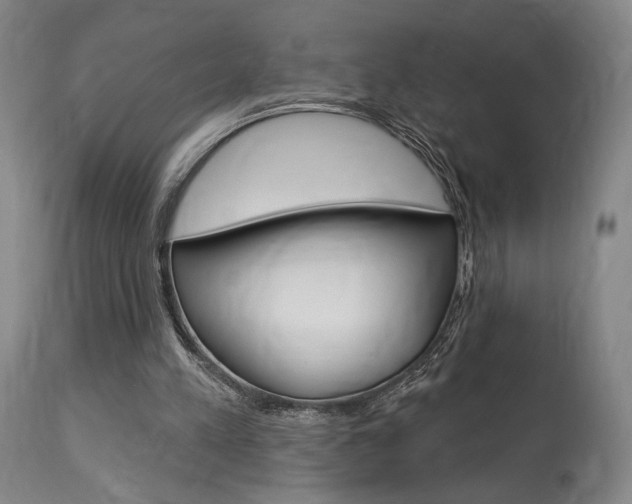 X0000114080197200910051009