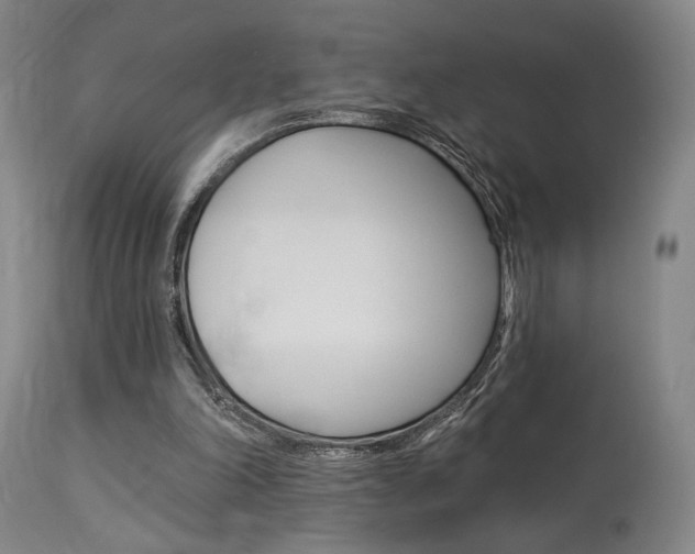 X0000114080198200910051009