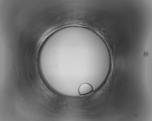 X0000114080199200910051009