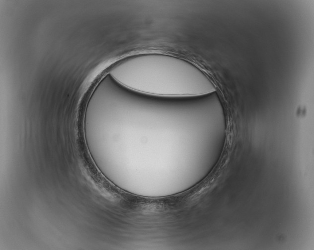 X0000114080200200910051009