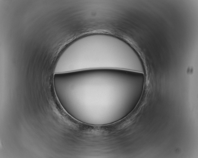 X0000114080201200910051009