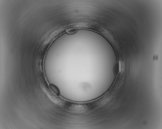 X0000114080205200910051009