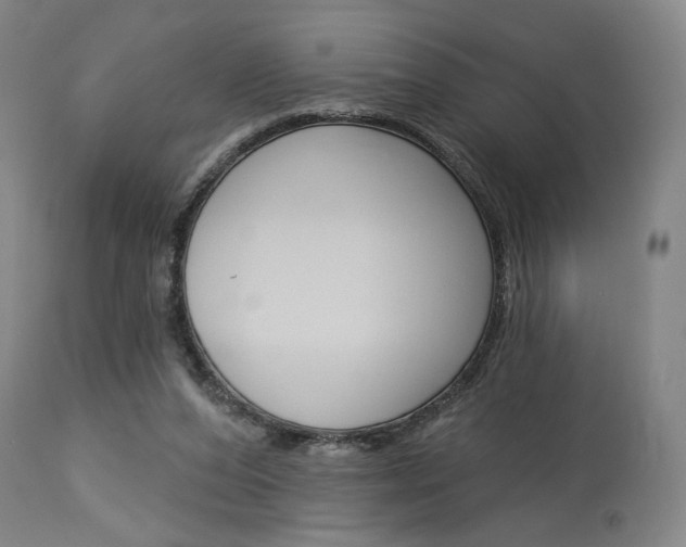 X0000114080208200910051009