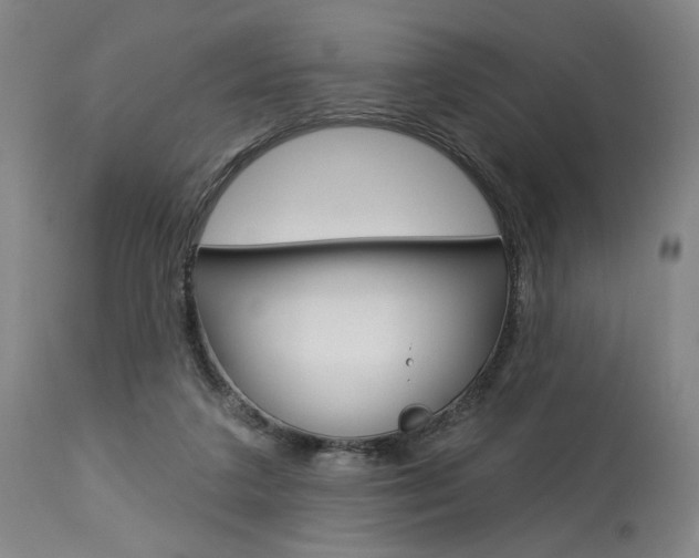 X0000114080211200910051009