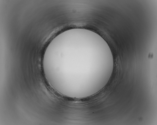 X0000114080212200910051009