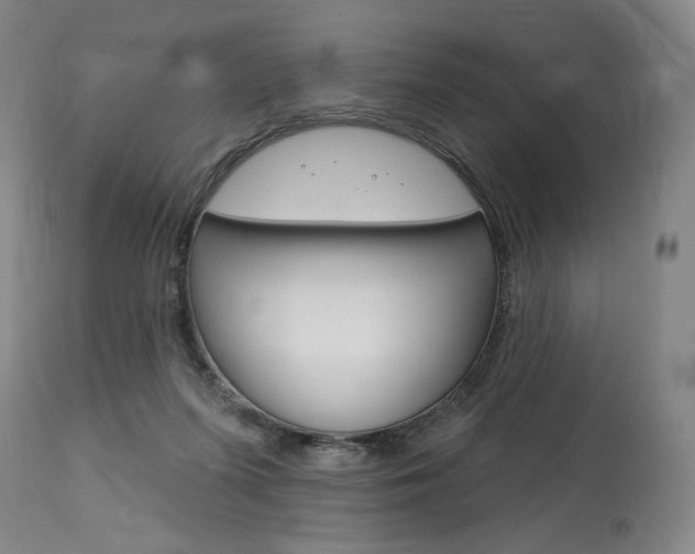 X0000114080215200910051008