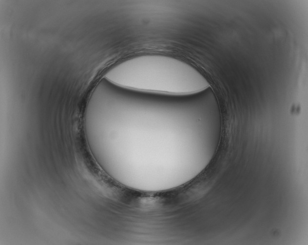 X0000114080216200910051008
