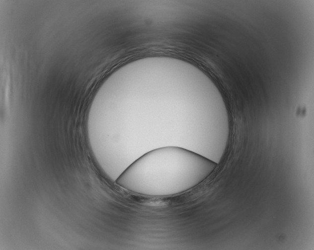 X0000114080217200910051008