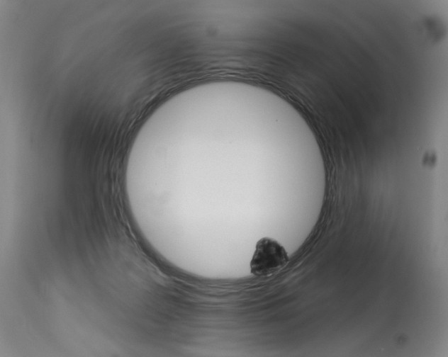 X0000114080219200910051008