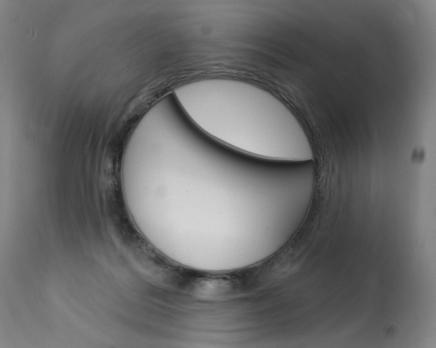 X0000114080220200910051008