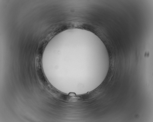 X0000114080222200910051008