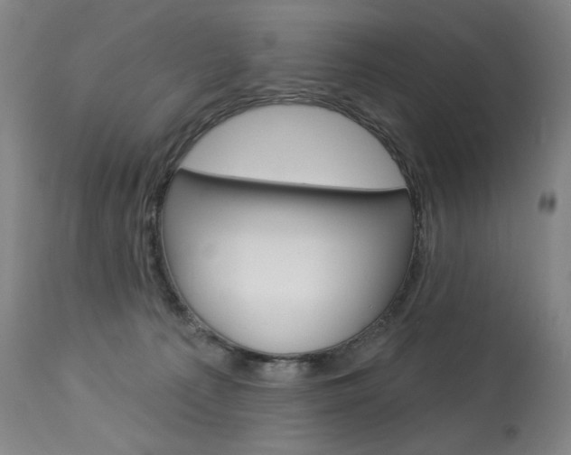 X0000114080225200910051008