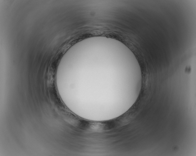 X0000114080226200910051008