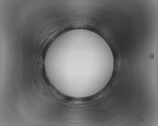 X0000114080228200910051008