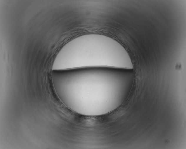 X0000114080229200910051008