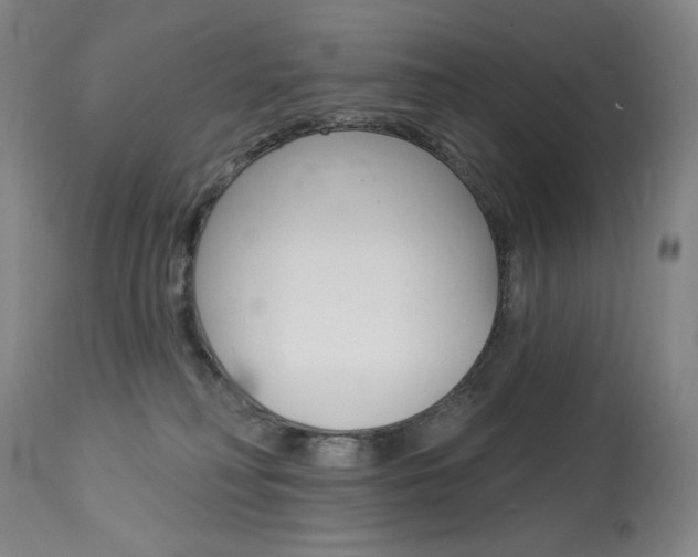 X0000114080230200910051008