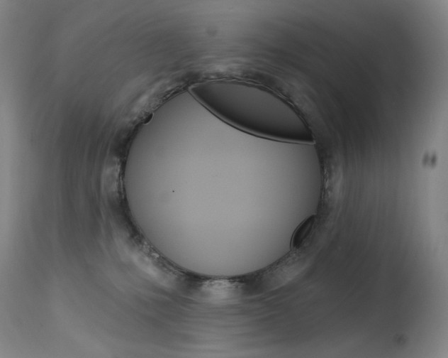 X0000114080231200910051008