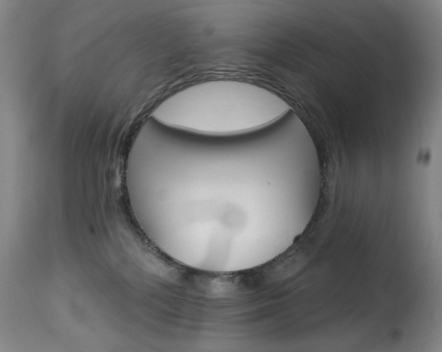 X0000114080232200910051008