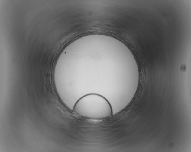 X0000114080233200910051008