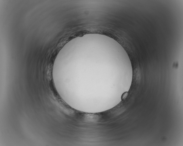 X0000114080234200910051008