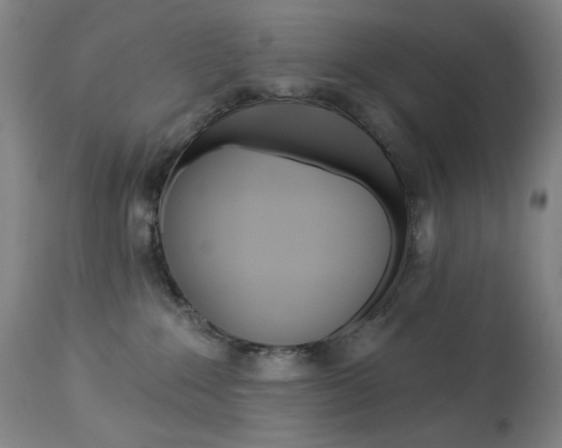 X0000114080235200910051008