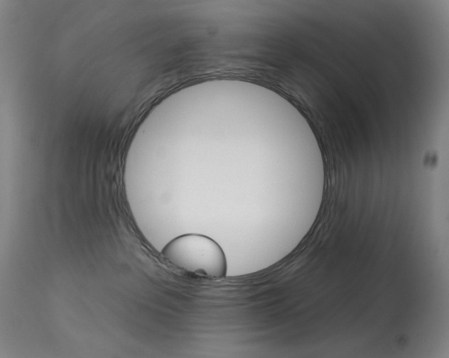 X0000114080237200910051008