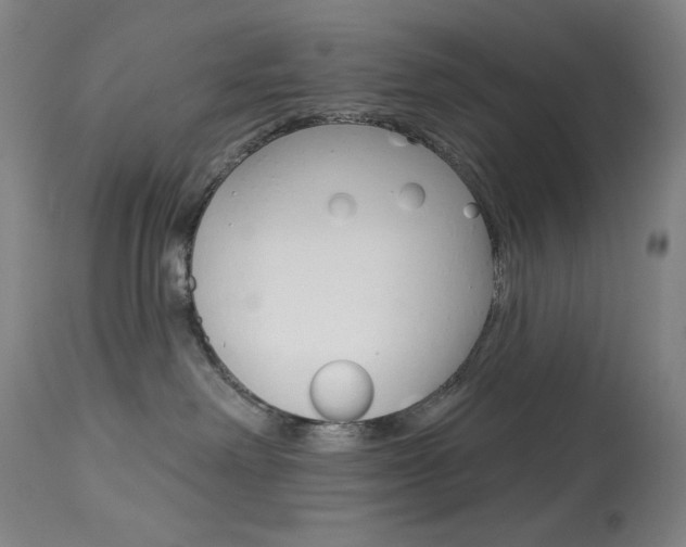 X0000114080238200910051008