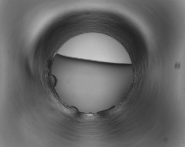 X0000114080239200910051008